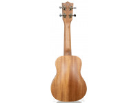 Tanglewood TWT1 Tanglewood TWT1